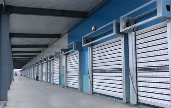 Fire Proofing High Speed Roll Up Door with Wind Resistance Beaufort 12 and IP55 Protection for Industrial Use