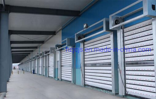 Aluminum Alloy High Speed Rolling Shutter Door with Fire Proofing and Customized Model for Logistics Centers